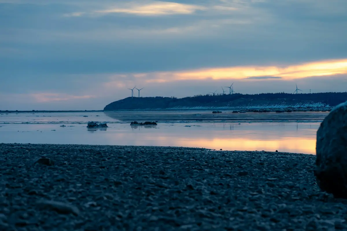 Anchorage Seafood in 2026: $60 Million in Automation and the Talent It Cannot Replace