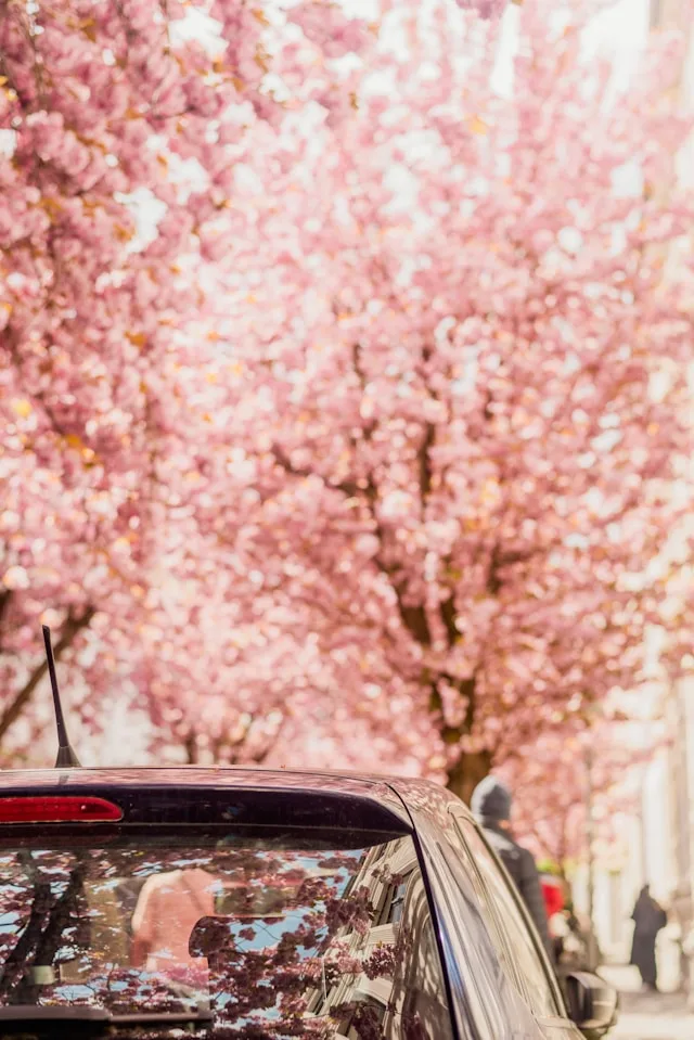 Bonns Süßwarencluster investierte 200 Millionen Euro in Automatisierung – und verschärfte damit seine Talentkrise