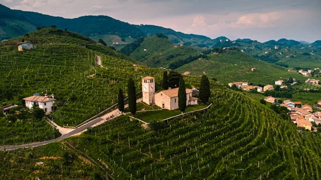 Conegliano Wine Tourism Hiring: How UNESCO Protection Created the Talent Trap No One Predicted