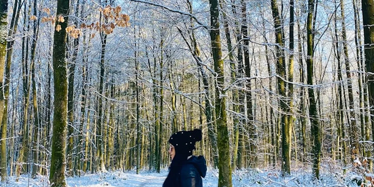 Diekirch's Specialty Food Sector in 2026: The Production Vacuum Behind Luxembourg's Beer City Brand