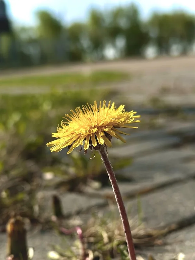 Recrutement dans les services pétroliers à Edmonton : pourquoi la discipline budgétaire a aggravé la pénurie de talents au lieu de l'améliorer