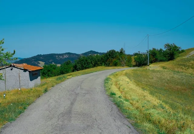 Il settore agroalimentare di Forlì investe in automazione senza riuscire a trovare il personale qualificato per gestirla: cosa devono sapere i responsabili delle assunzioni