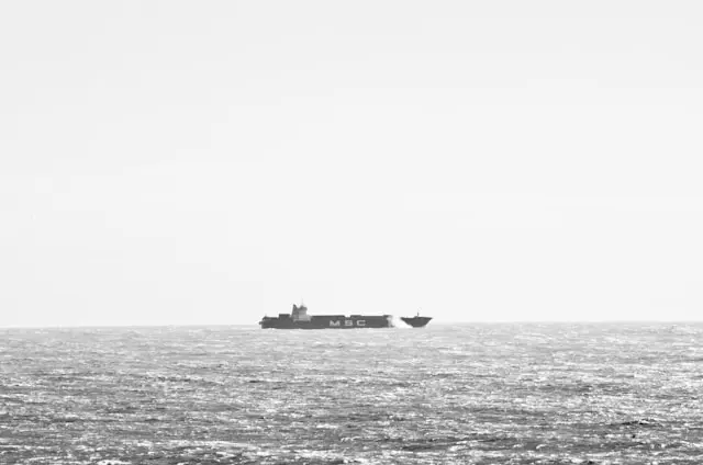 Gdańsk Port Is Building Capacity It Cannot Staff: The Talent Bottleneck Behind the Baltic's Biggest Expansion