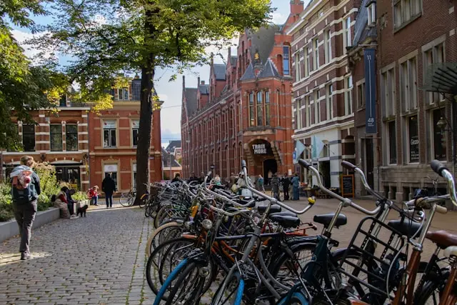 Groningen's Gas Field Is Closed. Its Hardest Roles to Fill Are Just Opening Up.