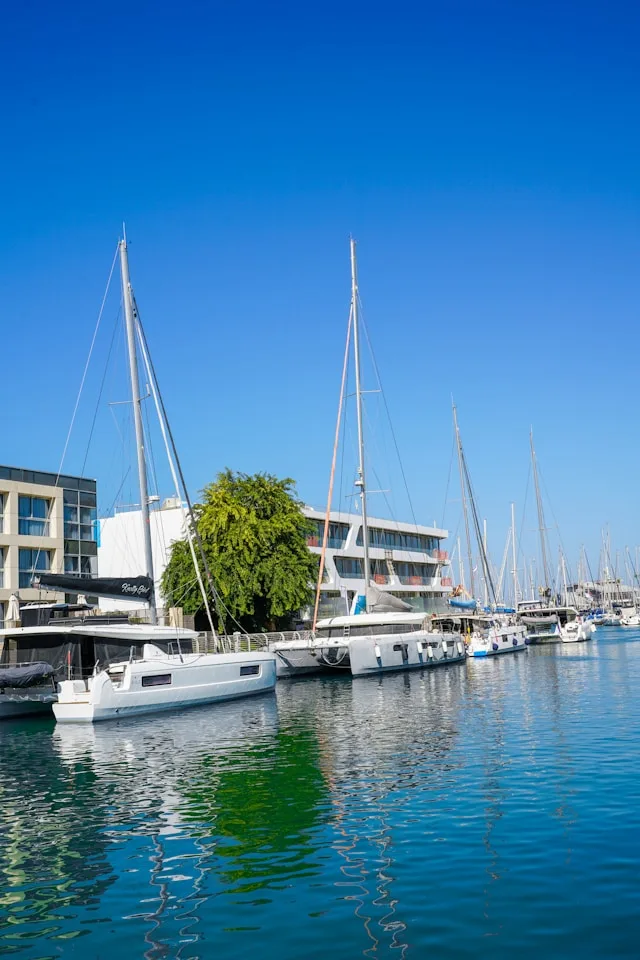 הברק הטכנולוגי של הרצליה פיתוח מול בעיית כישרונות ששום לוח דרושים לא יפתור