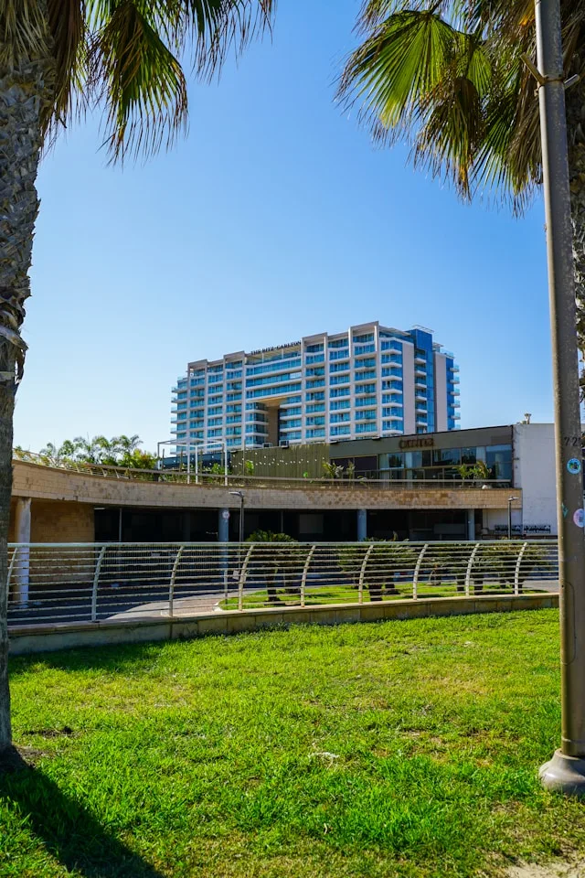 הכלכלה החופית של מרינת הרצליה הגיעה לגבול הפיזי שלה. שוק הכישרונות הגיע לשם קודם.