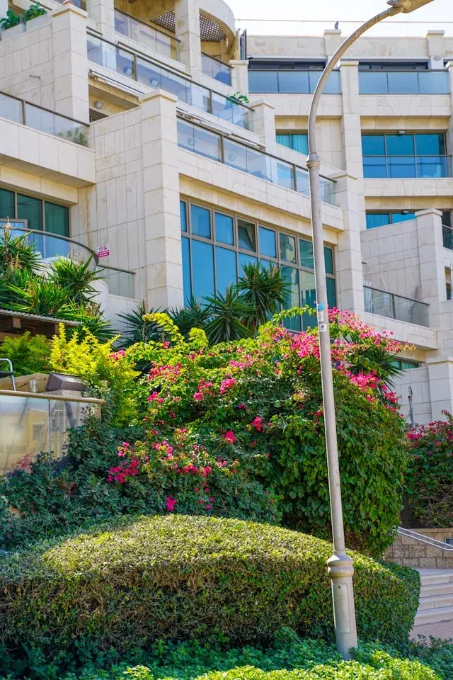 גיוס טכנולוגי בהרצלייה פיתוח ב-2026: השוק המפוצל ששבר כל מוסכמה בגיוס