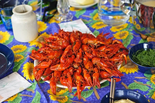 Jakobstad's Food Processing Automation Bet Created the Talent Crisis It Was Meant to Solve