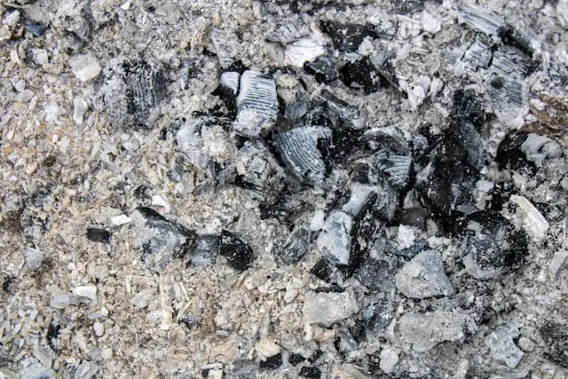 Қарағандының көмір бассейні қарқынды түрде жаңғыртылып жатыр. Бірақ оның таланттар құбыры ілесе алмай отыр.