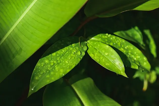 基隆港擴建工程將郵輪接待能力翻倍，但營運所需的人才根本不存在