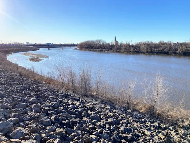 Lodi's Pharmaceutical Sector in 2026: Why Capital Is Moving Faster Than the Talent to Run It