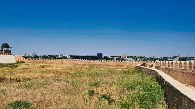 Шымкенттің агроөңдеу секторы миллиондаған инвестиция тартып жатыр, бірақ одан әрі артта қалуда: технологиялық тұзақ және оны елемеуге болмайтын жалдау тәуекелі