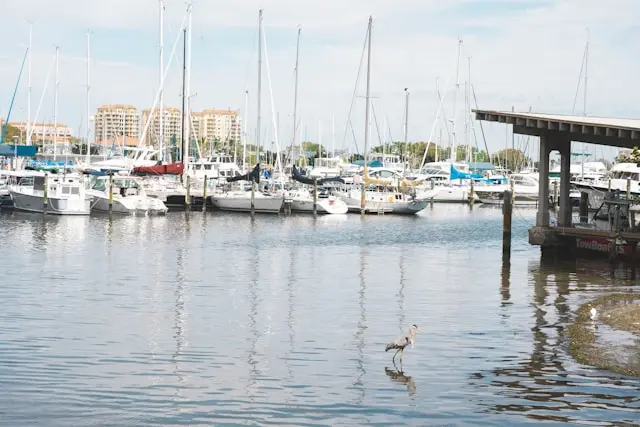 Servicios marítimos en St. Petersburg: la inversión en economía azul que no ha resuelto la crisis de contratación en los oficios técnicos