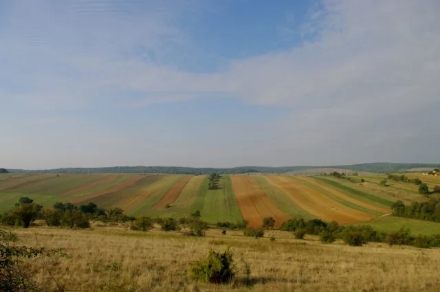 Szeged agrár-élelmiszeripari klasztere rekord árbevételt produkál. Mégsem találja az embereket a növekedés fenntartásához.