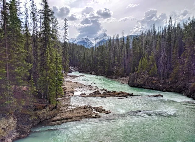 La logistique portuaire de Trois-Rivières en 2026 : le pôle de vrac qui forme des talents et les perd au profit de Montréal