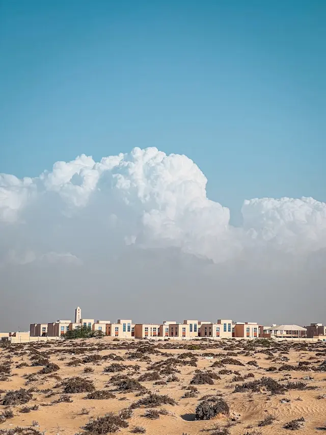 قطاع أم القيوين البحري في 2026: مفارقة الحفاظ البيئي التي تعيد كتابة كل معادلة توظيف