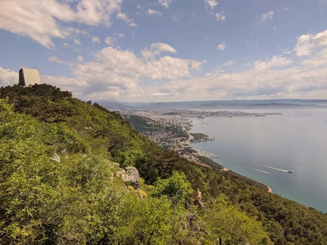 Il settore agroalimentare di Udine produce laureati e perde manager: il disallineamento dei talenti dietro le ambizioni premium del Friuli