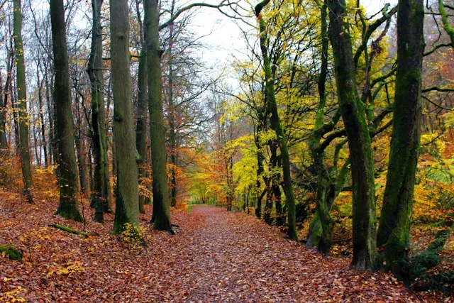 Wiesbadens Wellness- und Konferenzsektor 2026: Zwei Talentmärkte, eine Stadt und eine wachsende Kluft